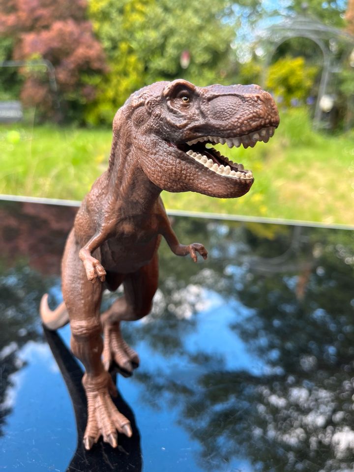 Schleich Dino T-Rex in Sankt Augustin