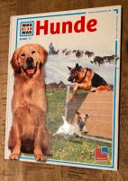 Wie neu! Was ist was Band 11 Hunde Kinderbuch Niedersachsen - Lengede Vorschau