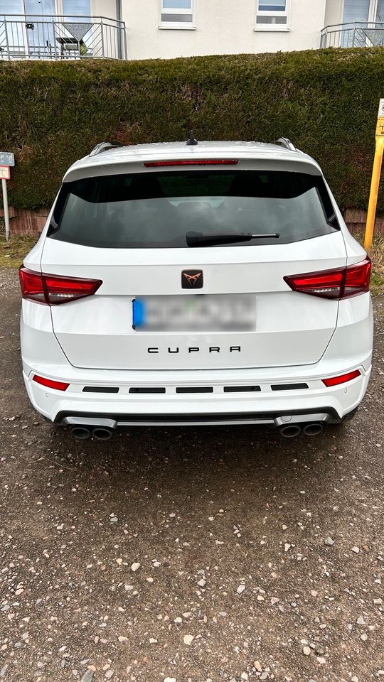 Cupra Ateca in Homburg