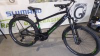 Grecos Big Foot-E, ESUV, E-Bike, Bosch Performance CX,85NM Nordrhein-Westfalen - Kirchlengern Vorschau