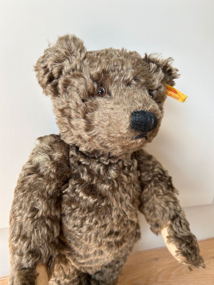 Steiff Teddybär mit Brummgeräusch in Düsseldorf