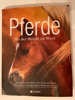 Pferde mit der Mähne im Wind, Pferdebuch Rheinland-Pfalz - Volkerzen Vorschau