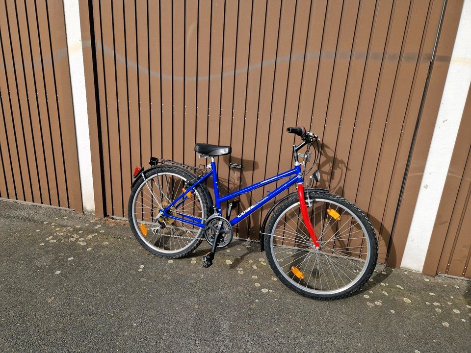 Damenfahrrad kinderfahrrad mtb in Dresden