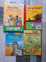 Lesemaus Lesen lernen Bücher Brandenburg - Briesen (Mark) Vorschau