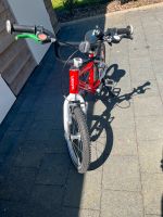 Woom 3 Fahrrad Nordrhein-Westfalen - Bad Oeynhausen Vorschau