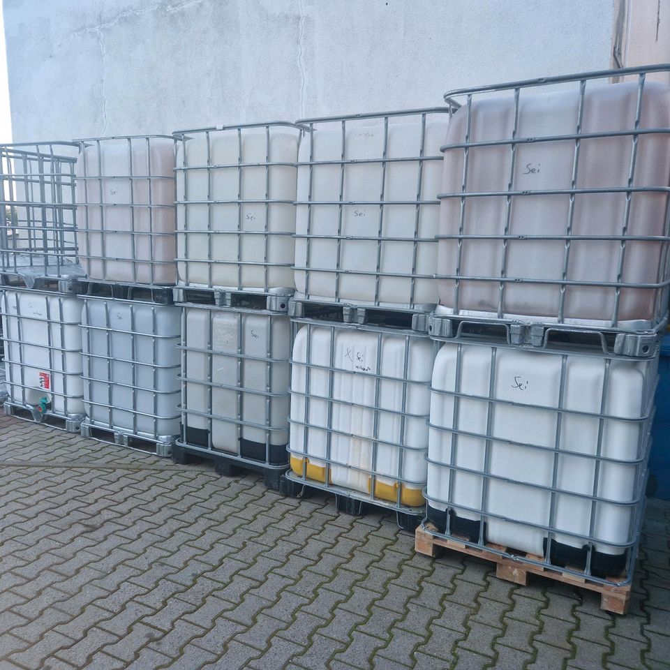 Regentonne Wassertank IBC Container Gitterbox in Runkel