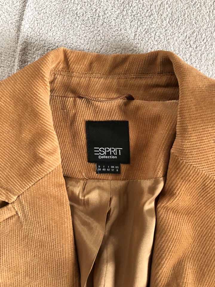 Esprit Hosenanzug Feincord Blazer tailliert. Schlaghose braun 38 in Augsburg