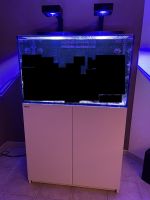 Red Sea MAX E-260 mit 2 Stück REEF LED 90 + Unterschrank Weiß kpl Bayern - Altusried Vorschau