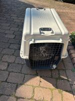 Hundetransportbox Niedersachsen - Hüde Vorschau