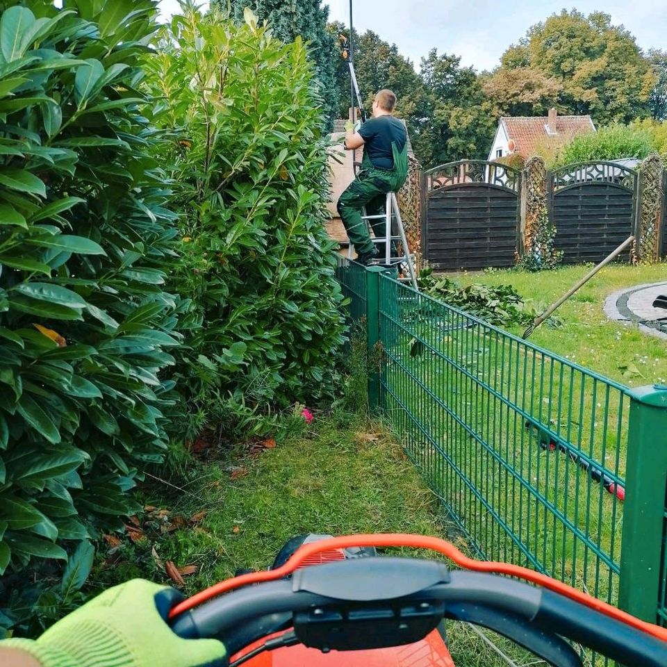 Hecke schneiden, Sträucher schneiden, Hecken Formschnitt, usw in Voerde (Niederrhein)