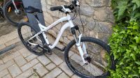 Specialized Myka Damen Jungend Fahrrad Baden-Württemberg - Wäschenbeuren Vorschau