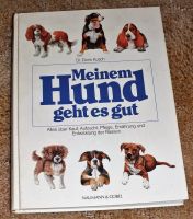 Buch.  Meinem Hund geht es gut v. Dr. Doris Kusch gebr. Bayern - Neustadt an der Aisch Vorschau