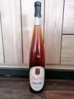 SAMMLER 1,5 L Flasche Pinot Rosa Maschio Nordrhein-Westfalen - Marl Vorschau
