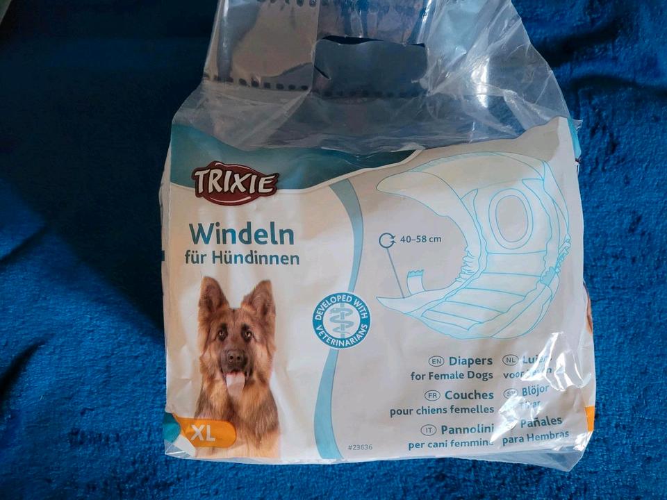 EINWEGWINDELN EINLAGEN SCHUTZHÖSCHEN HÜNDIN L / XL HALSKRAUSE in Königs Wusterhausen