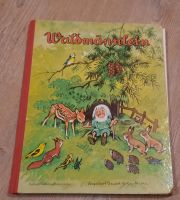 Dessart-Verlag: WALDMÄNNLEIN Künster-Bilderbuch alt Rarität Baden-Württemberg - Lauda-Königshofen Vorschau