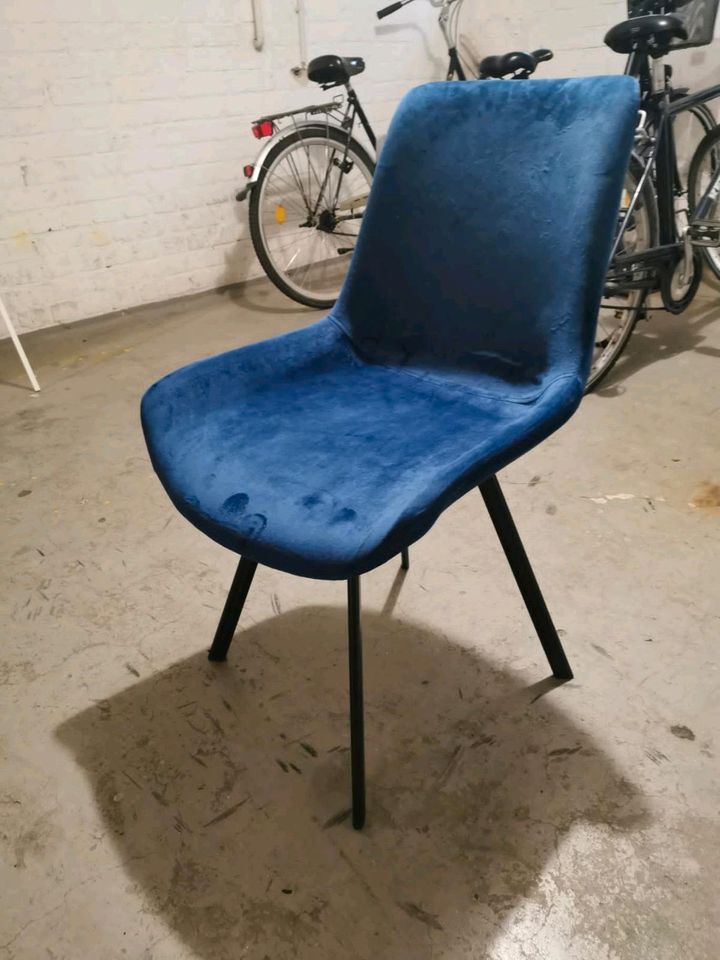 Chesterfield Stühle Nagel Neu 6 Stück Samt in Leer (Ostfriesland)