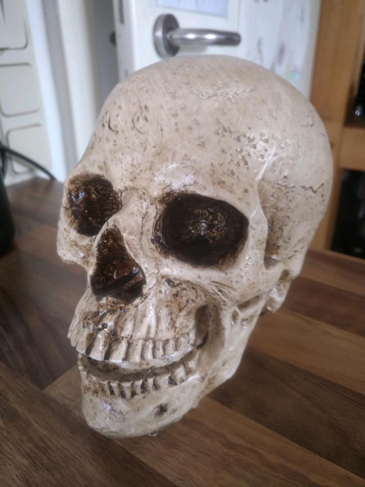 Schädel Skelett Totenkopf Halloween Deko in Windeck