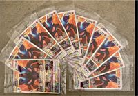 Pokemon Karte Lucario VSTAR alternativ Holo Fullart Promo Bochum - Bochum-Wattenscheid Vorschau