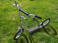 Roller-Bike ,Tretroller, 16 Zoll, gebraucht, TOP gepflegt Nordrhein-Westfalen - Rüthen Vorschau