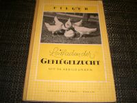 Geflügelzucht. ORNITHOLOGIE Hessen - Heppenheim (Bergstraße) Vorschau