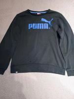 Puma Pullover 164 cm Nordrhein-Westfalen - Kerpen Vorschau