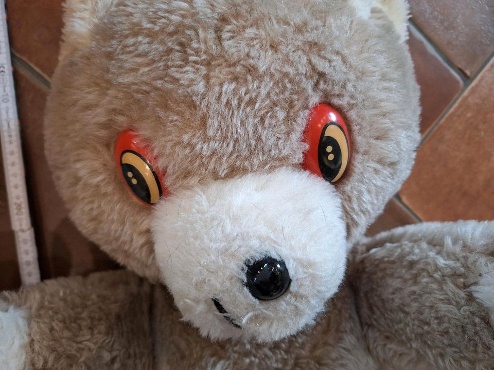 DDR antike Kuscheltiere Teddybär und Hund in Neustadt