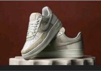Nike Air Force 1 Coconut W 42,5 Neu Hessen - Eppertshausen Vorschau