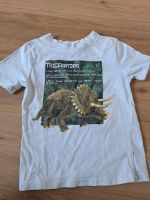 H&M Dino T-Shirt Gr. 98/104 Schleswig-Holstein - Neudorf-Bornstein Vorschau