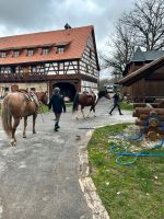 SUCHE Reitmöglichkeit in Hohenberg Bayern - Hohenberg a.d. Eger Vorschau