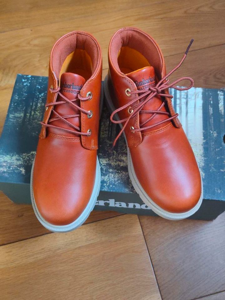 Neu Timberland Schnürschuhe Boots TBL 1973 NEWMAN CHUKKA Gr. 36 in Lübbecke 