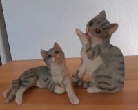 Katzenpaar Niedersachsen - Duderstadt Vorschau