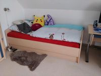 Jugendbett mit Bettkasten Farbe ahorn Sachsen - Machern Vorschau
