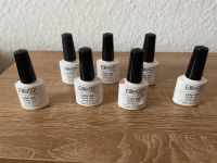 Elite99 UV Nagellack Set 6 Farbe Sommer Kollektion Niedersachsen - Schortens Vorschau