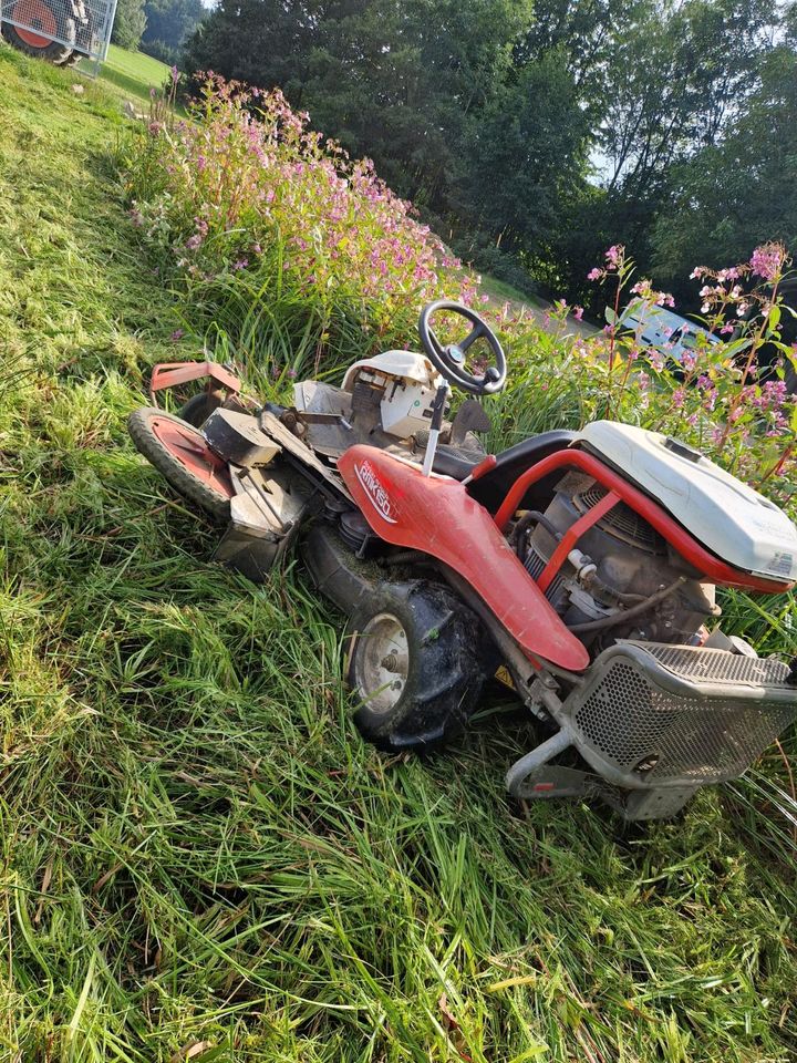 Gartenservice Solarparkpflege Dienstleistungen aller Art in Regen