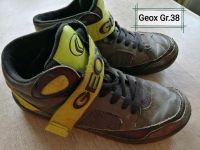 Geox Schuhe Gr.38 Jungen Schleswig-Holstein - Göhl Vorschau