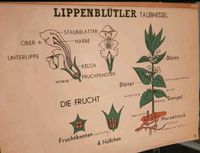 Wandkarte alt Essen - Essen-Ruhrhalbinsel Vorschau