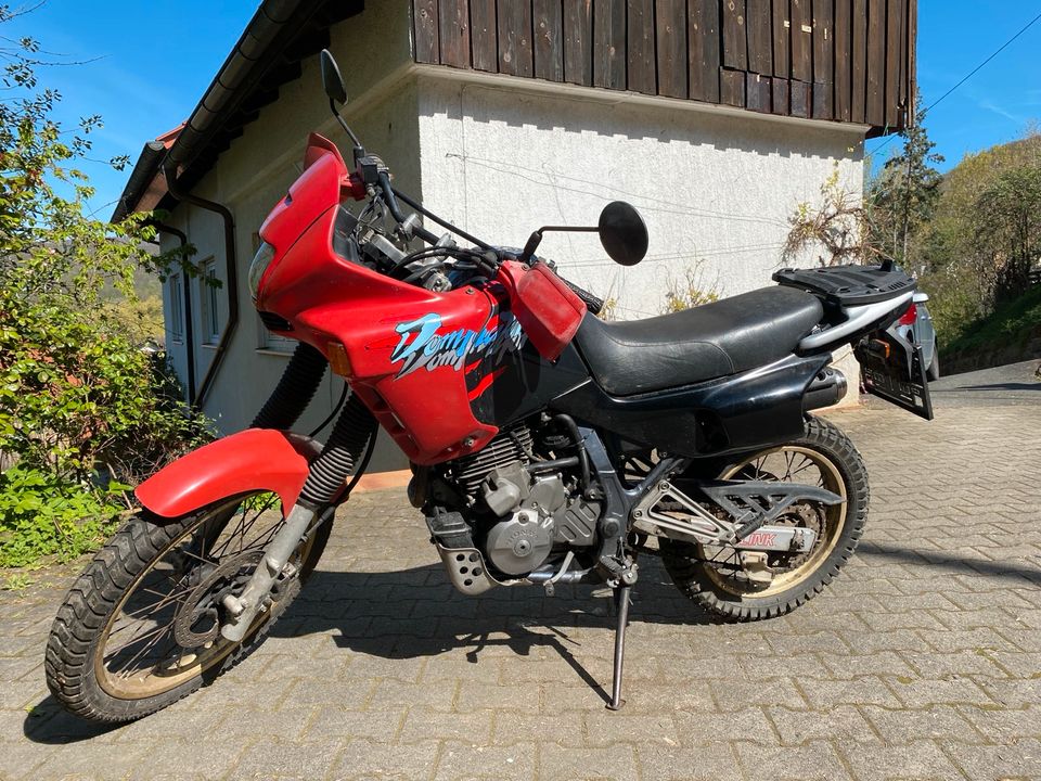 Honda NX 650 Dominator in Strullendorf