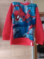 Spiderman pullover grösse 6A Bayern - Hilpoltstein Vorschau