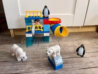 Lego Duplo Polartiergehege Zoo Tiergehege Pinguine Eisbär Baden-Württemberg - Gerlingen Vorschau