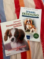 Bücher Charles King Cavalier 2 Stück Rheinland-Pfalz - Rehborn Vorschau