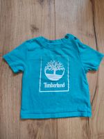 Timberland T-shirt gr 86 blau Rheinland-Pfalz - Bretzenheim Vorschau