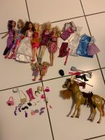 Barbie Set: 6 Barbies, 2 Kinder, 1 Pferd, Zubehör Baden-Württemberg - Böblingen Vorschau