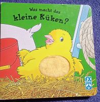 Was macht das kleine Küken? Bayern - Bischofswiesen Vorschau