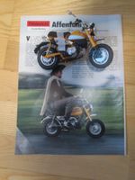 Modell Spielzeug Honda Monkey + Original Fahrbericht aus 1977 Bayern - Ingolstadt Vorschau