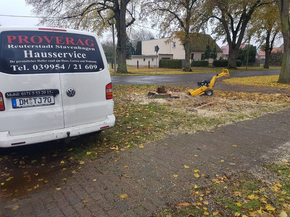 Wurzelfräsen Stubbenfräsen u.Wurzel Entfernung Hausmeisterservice in Stavenhagen