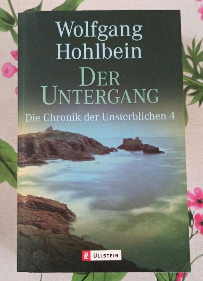 Wolfgang Hohlbein - Chronik der Unsterblichen 1-4 - Taschenbuch in Friesoythe