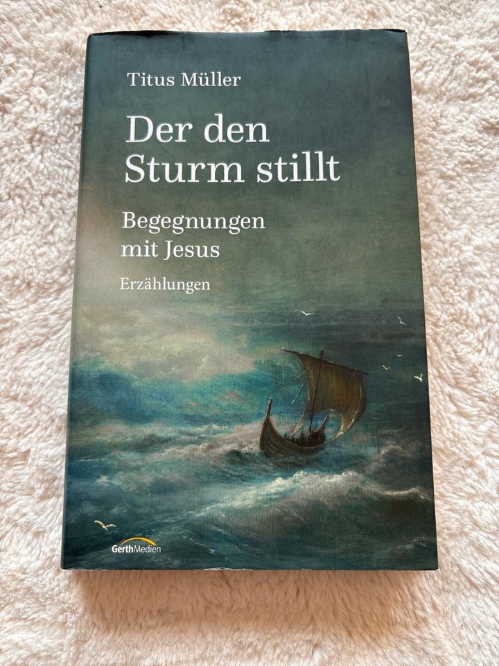 Titus Müller Der den Sturm stillt christliches Buch Jesus in Bad Bergzabern