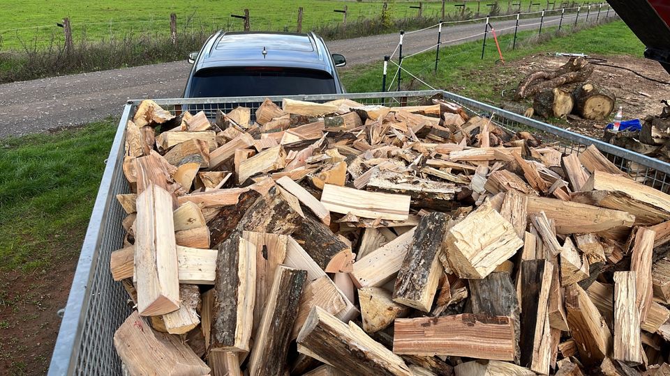 Brennholz frisch gespaltenes  Buche Eiche Laubholz gemischt in Saarwellingen