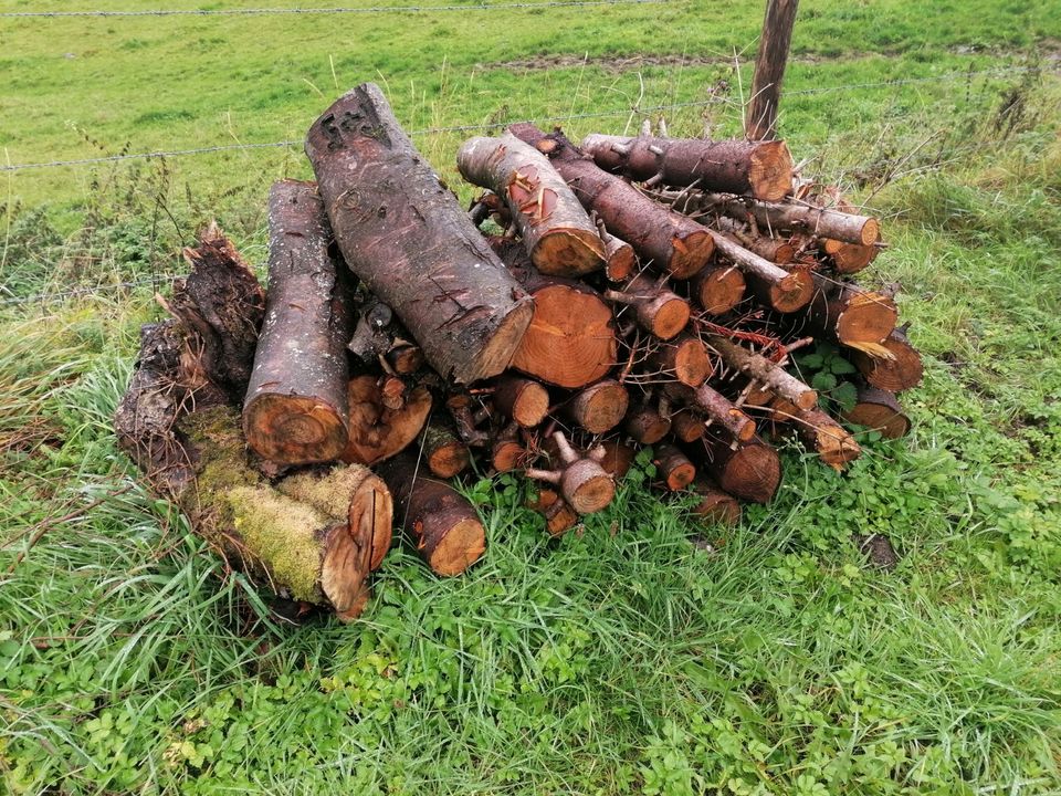 Verk. Fichtenbrennholz in Winterberg