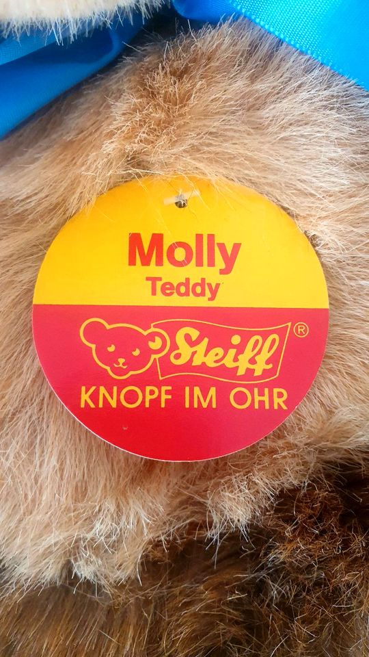 Steiff-Teddy "Molly" riesengroß, über 70 cm, NEU in Rösrath